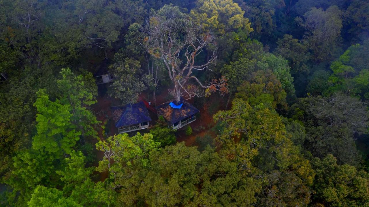 Nature Zone Jungle Resort Munnar Exterior photo