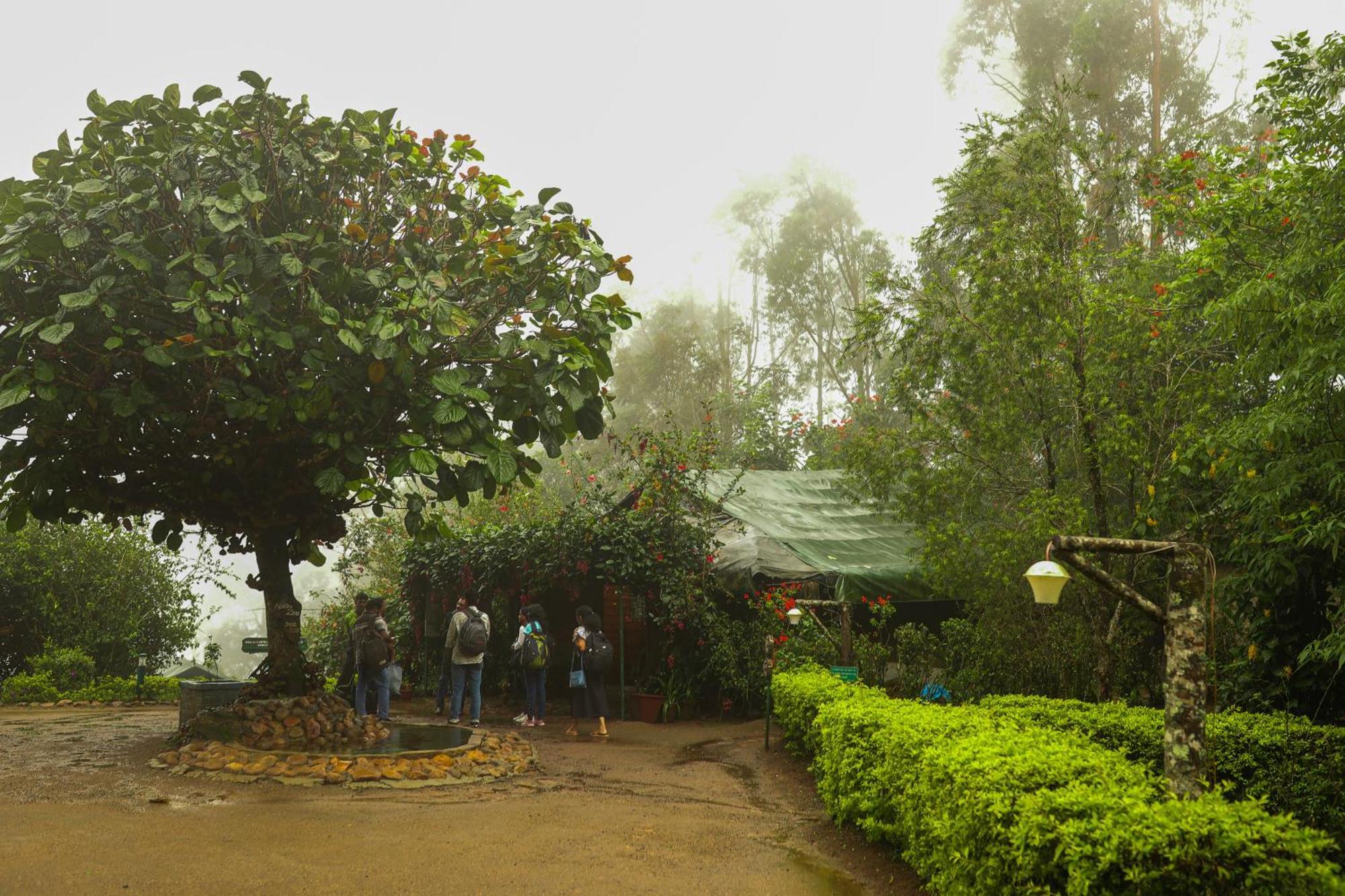 Nature Zone Jungle Resort Munnar Exterior photo